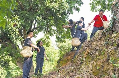 村民幫助志愿者爬上山坡。