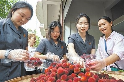 志愿者和村民一起將摘下的楊梅裝進食品盒里。