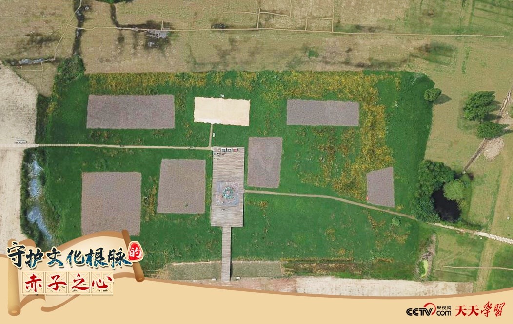2019年6月23日無人機拍攝的良渚國家考古遺址公園的宮殿區(qū)。