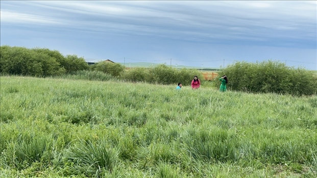 圖為游客在草原上拍照游玩。人民網(wǎng)記者 金洪花攝