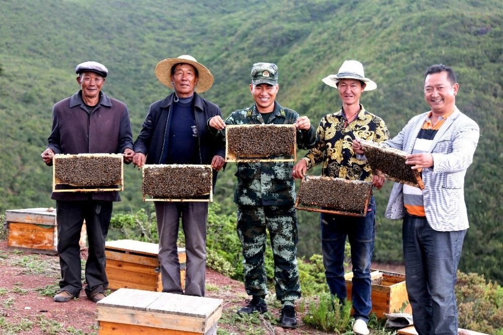 ↑武警四川總隊涼山支隊精準幫扶昭覺縣梭梭拉打村發(fā)展養(yǎng)蜂產(chǎn)業(yè)，總隊駐村扶貧干部布哈（中）和村民一同展示豐收成果（2019年6月12日攝）。新華社發(fā)（楊劍 攝）