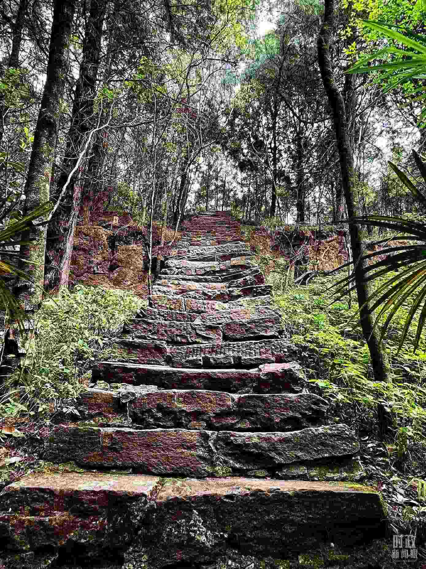 △古蜀道。（總臺(tái)央視記者郭曉龍拍攝）