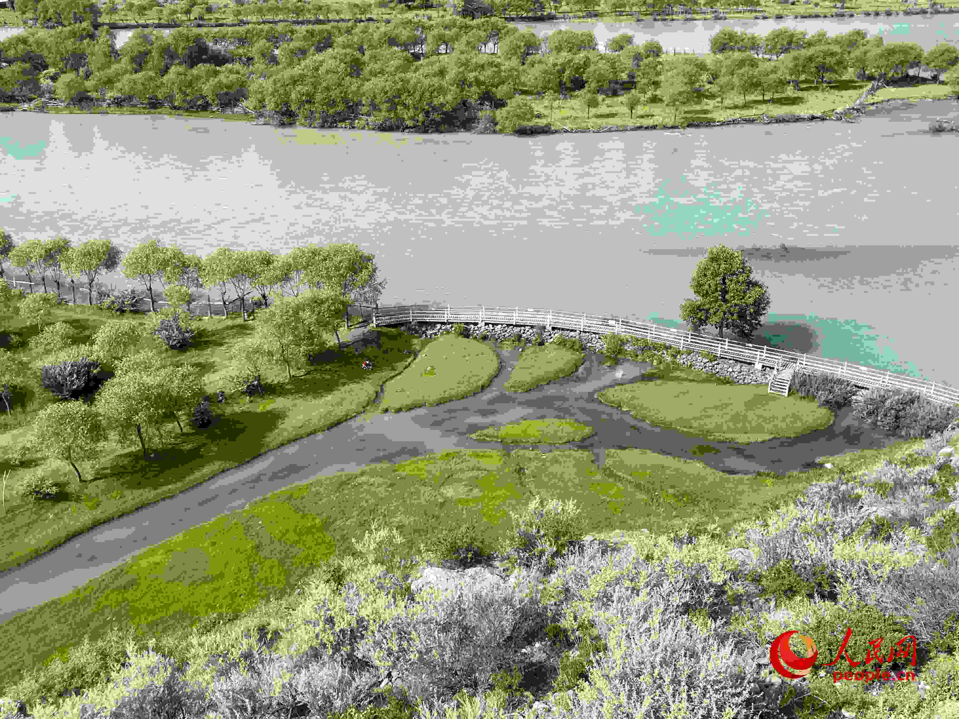 夏日的雅尼國(guó)家濕地公園生機(jī)盎然，如詩如畫。人民網(wǎng) 周靜圓攝