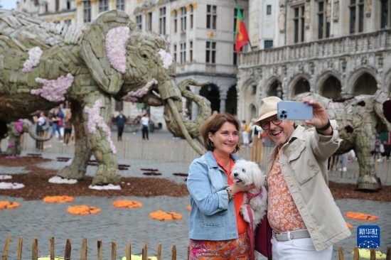 8月11日，觀眾在比利時布魯塞爾“鮮花時光”展覽上拍照。新華社記者 趙丁喆攝