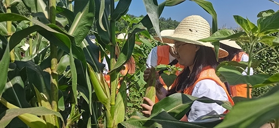 北京工商大學(xué)組織學(xué)生開展暑期社會實(shí)踐。學(xué)校供圖