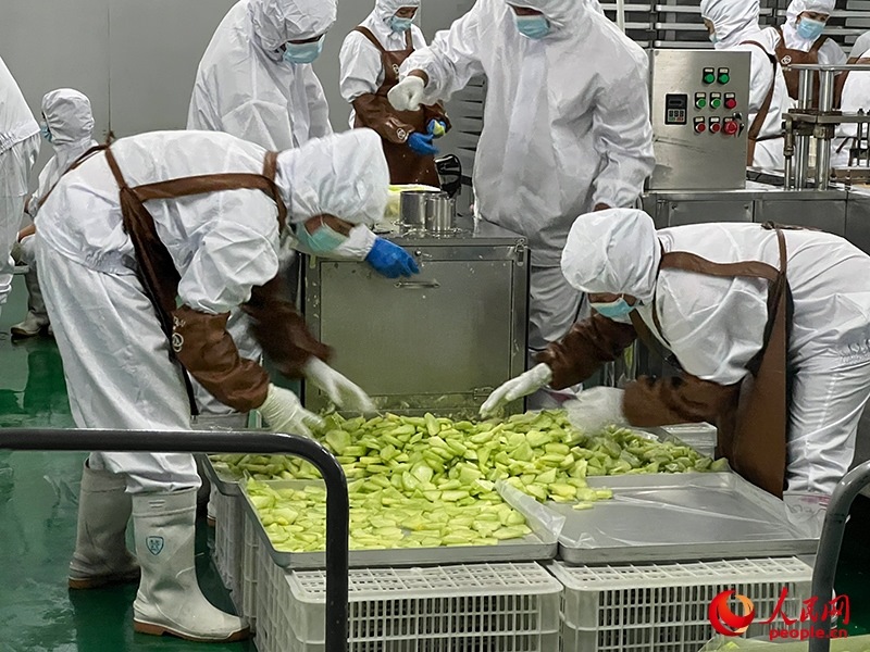 切片哈密瓜將被做成凍干食品。人民網(wǎng)記者 常雪梅攝