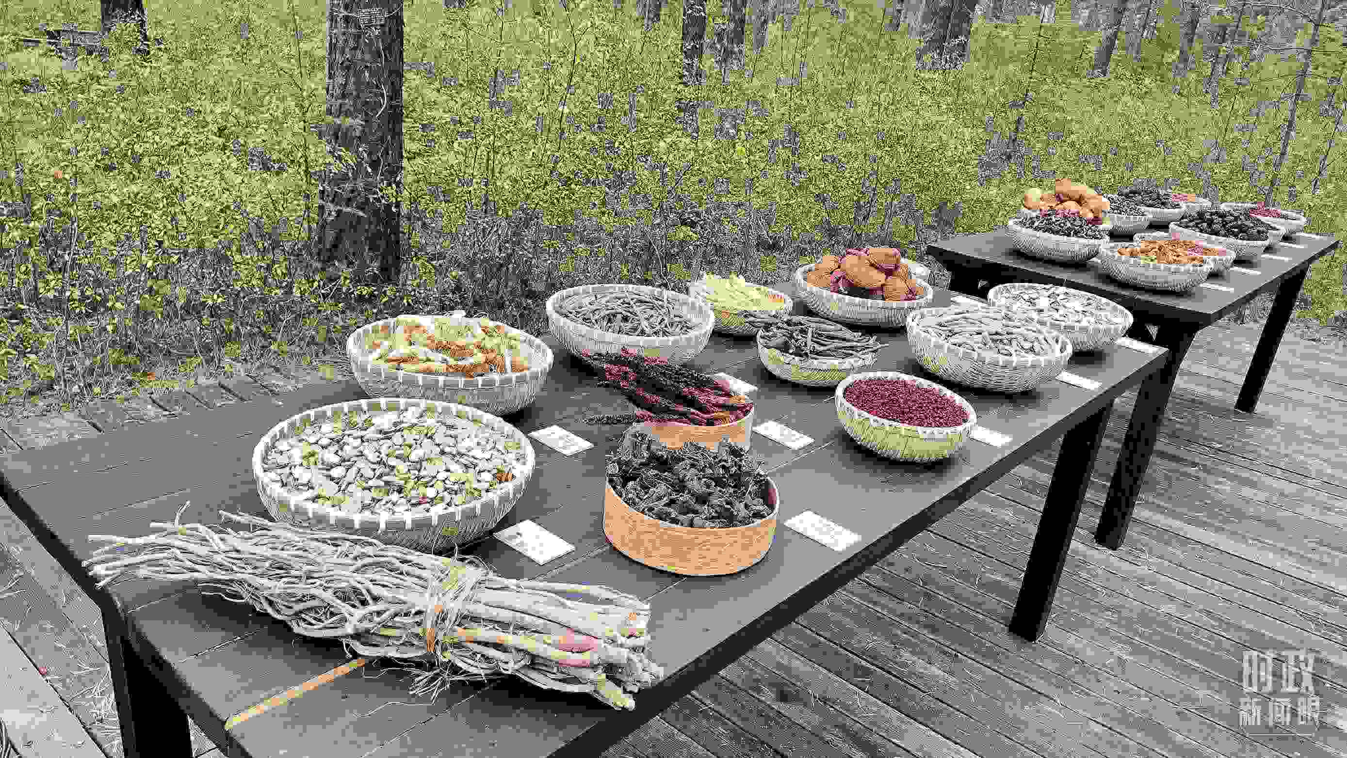 △林場里的食用菌、林果等特產。（總臺央視記者楊立峰拍攝）