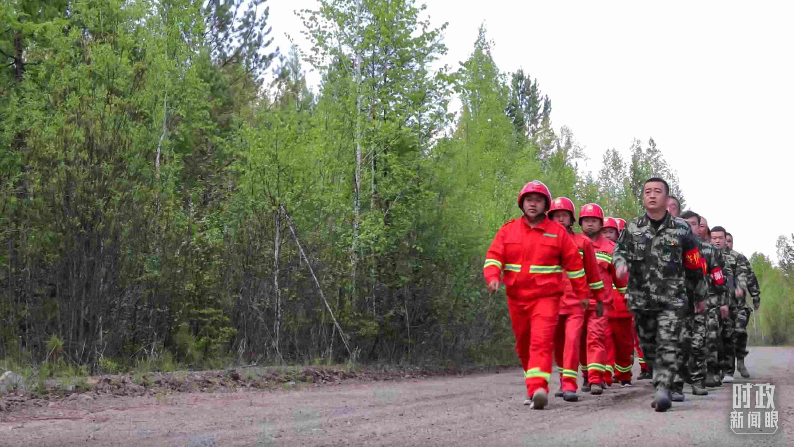 △林場里的森林巡護。
