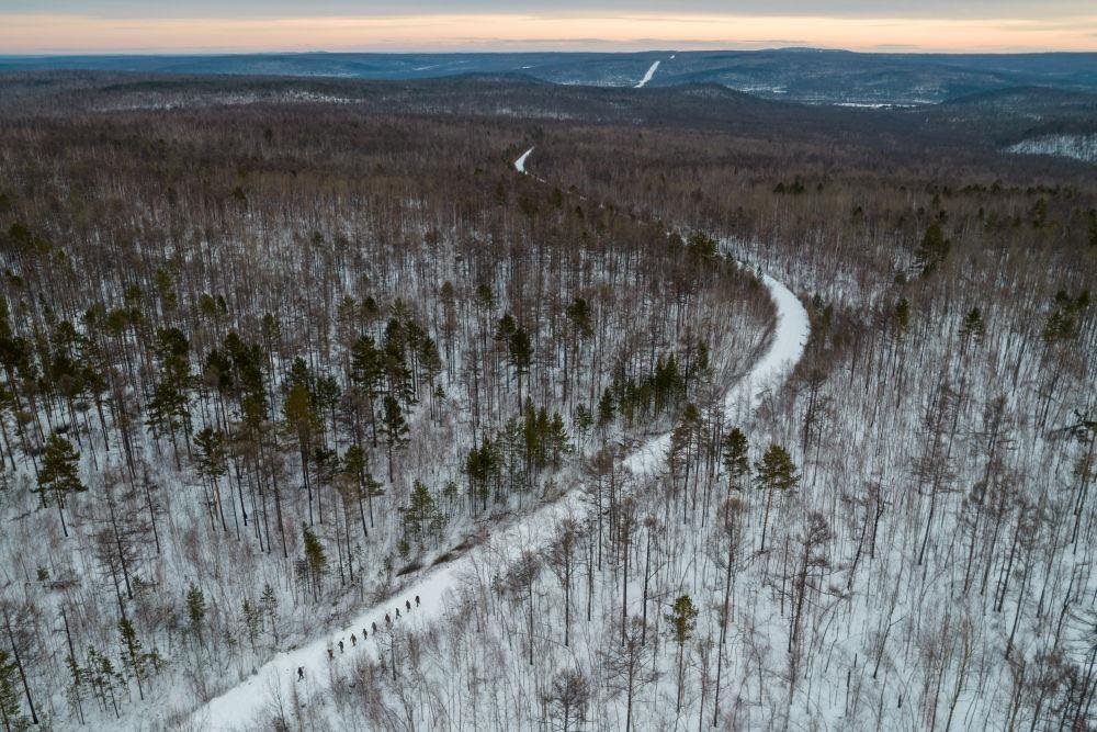 △2023年1月，漠河林場數(shù)十名職工自發(fā)組成的森林撫育隊(duì)伍，在人跡罕至的山林中作業(yè)。