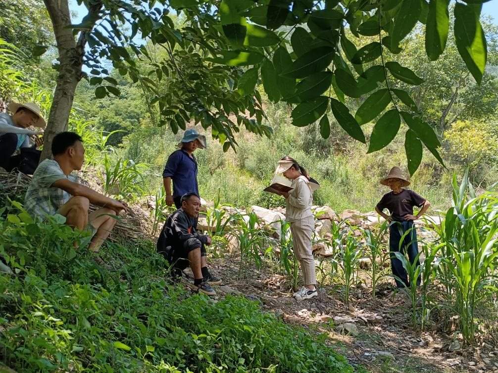 2023年7月18日，兩家村民發(fā)生土地方面的糾紛，李江女（右二）在記錄情況。受訪者供圖