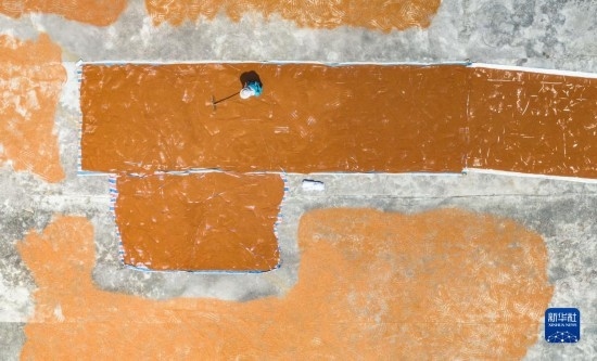 9月16日，農(nóng)民在貴州省安順市西秀區(qū)大西橋鎮(zhèn)吉昌村晾曬高粱（無(wú)人機(jī)照片）。