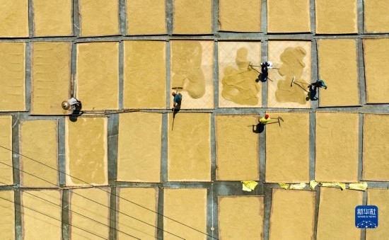 9月16日，在湖南省懷化市通道侗族自治縣萬(wàn)佛山鎮(zhèn)溪上村，村民在晾曬稻谷（無(wú)人機(jī)照片）。