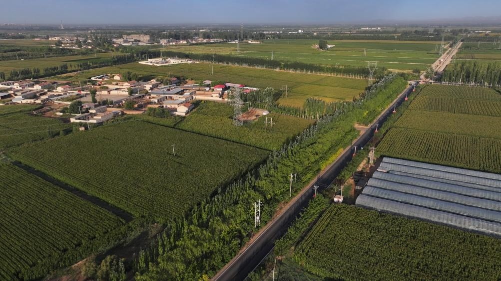 東興村周邊建起防護(hù)林網(wǎng)（無人機(jī)照片，2023年9月12日攝）。新華社記者李云平 攝