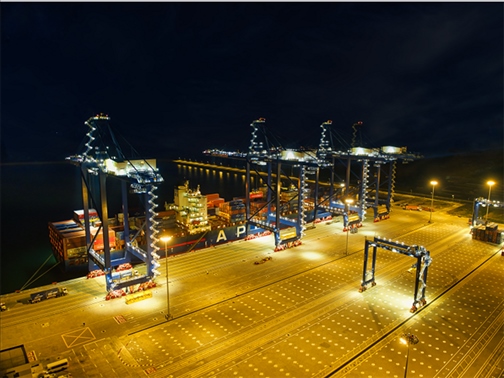 萊基港實(shí)行7×24小時(shí)裝卸作業(yè)機(jī)制。受訪(fǎng)者供圖