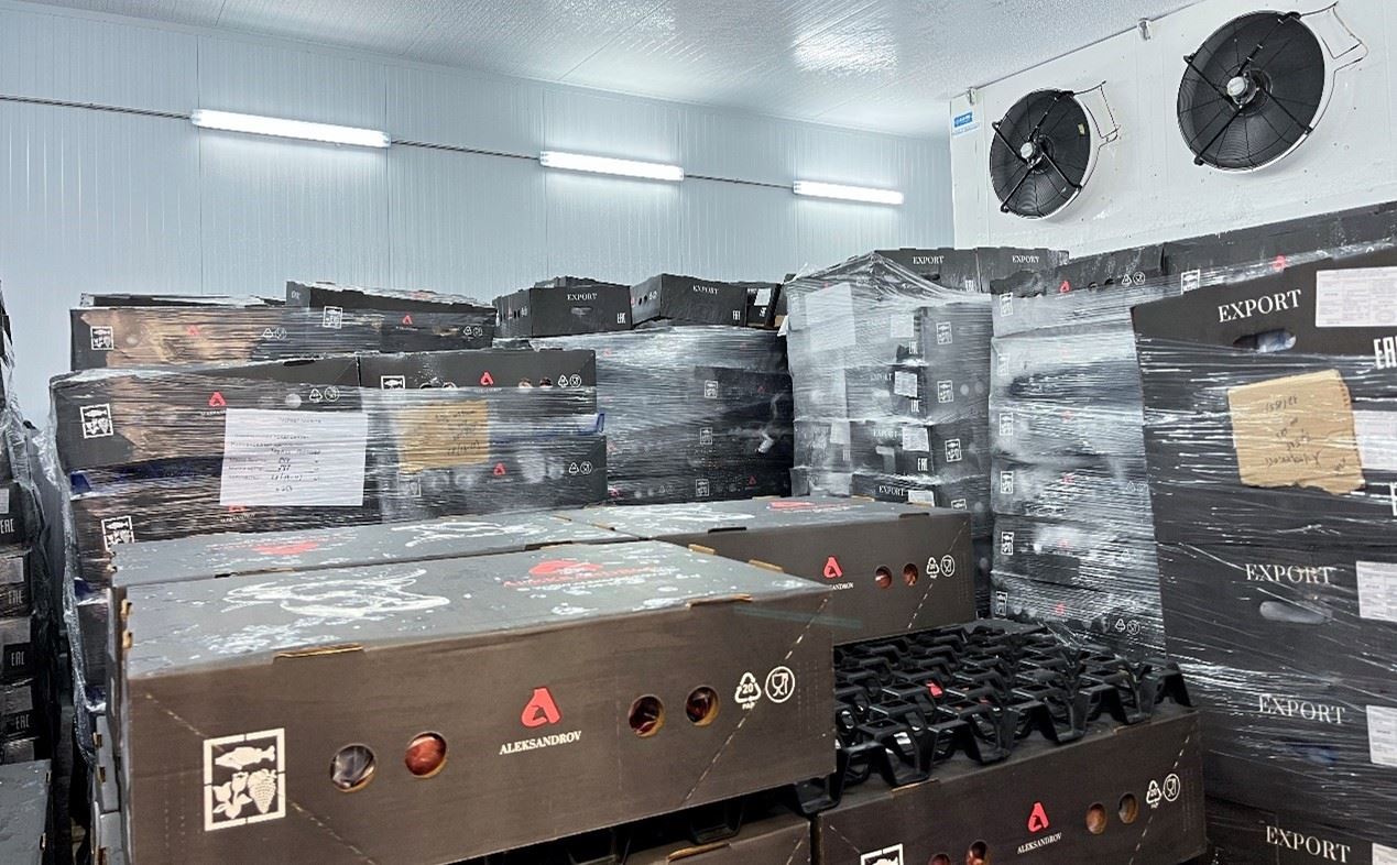 恒溫冷庫中，包裝好的牛肉等待發(fā)往中國。人民網記者 朱虹攝