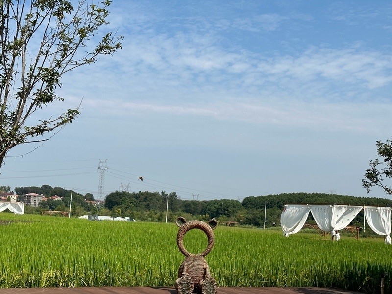 林語(yǔ)未來(lái)村打造農(nóng)家畈田園綜合體。人民網(wǎng) 王紹紹攝