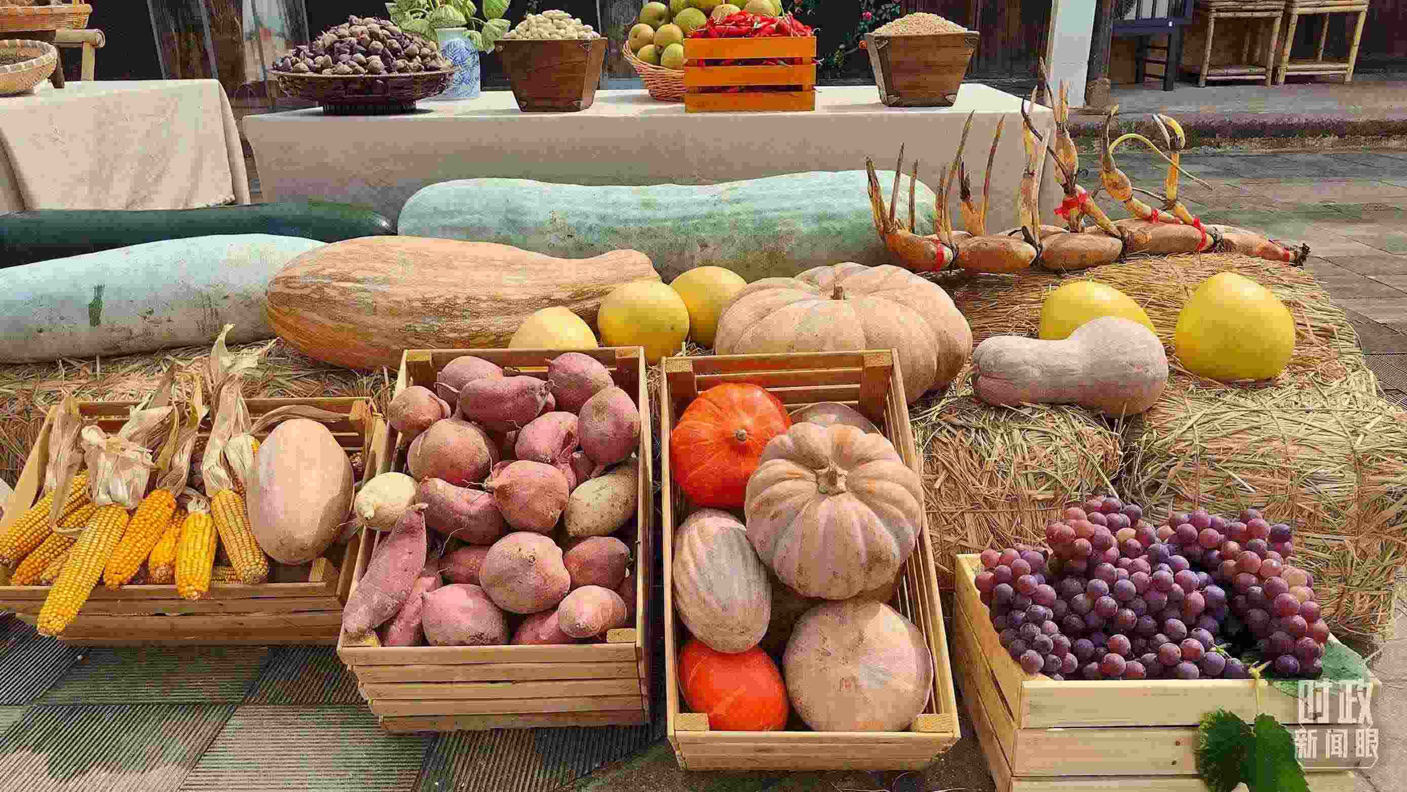 △村廣場(chǎng)“共富市集”，擺放著種類豐富的特色農(nóng)產(chǎn)品。（總臺(tái)央視記者楊立峰拍攝）