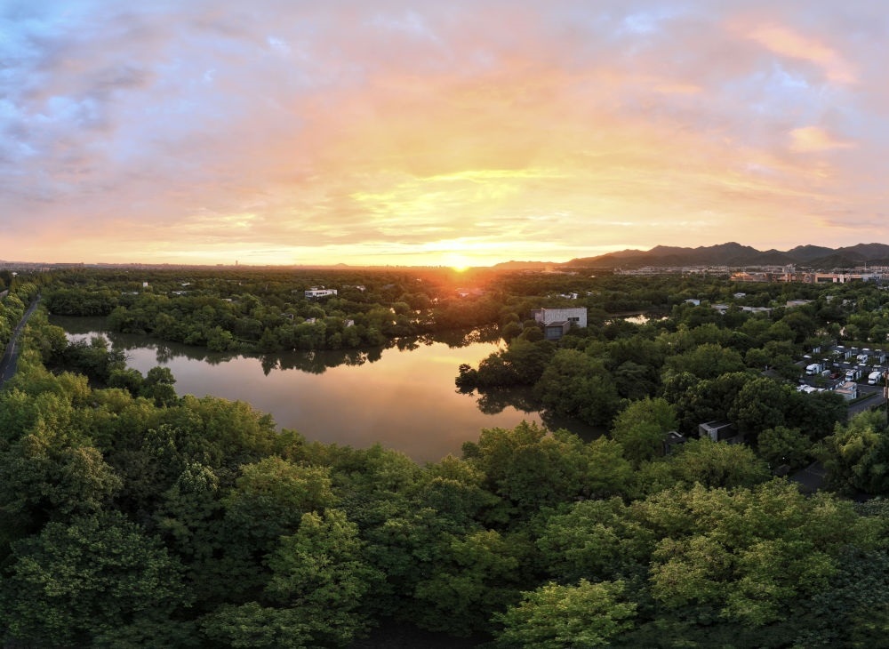 杭州西溪濕地日出景觀。