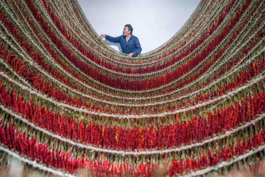 在貴州省畢節(jié)市大方縣理化鄉(xiāng)金雞村，村民查看辣椒烘干情況。新華社發(fā) 羅大富攝