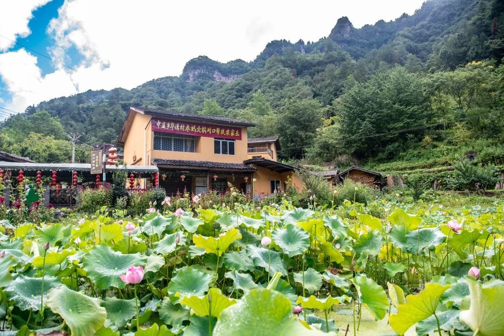 這是8月28日拍攝的華溪村村民開設的農(nóng)家樂外景。新華社記者 唐奕 攝