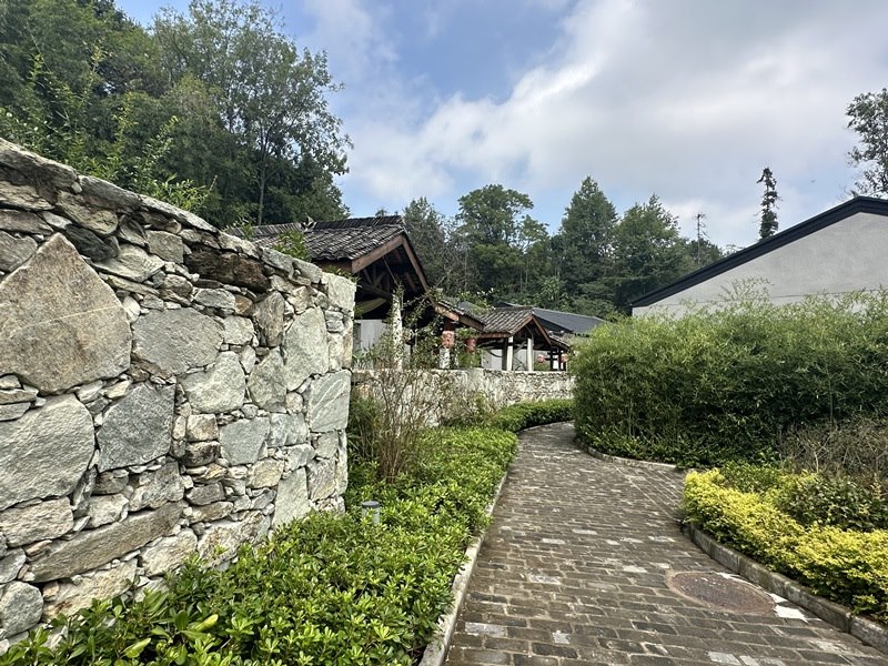 眾多民宿坐落于夫子山山麓。人民網(wǎng) 王紹紹攝