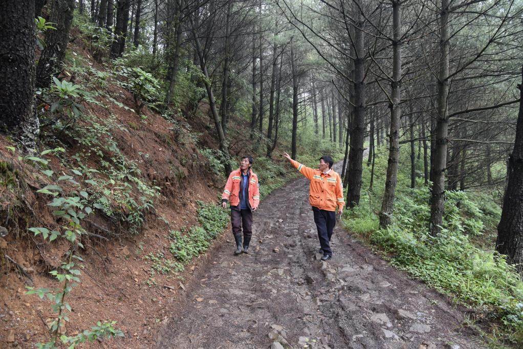 海雀村生態(tài)護林員馬正安（左）和海雀村林管員王光德（右）在日常巡山護林。新華社記者 李凡 攝