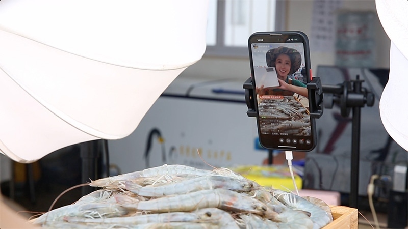 江蘇連云港，村民進(jìn)行直播銷售。范堯攝