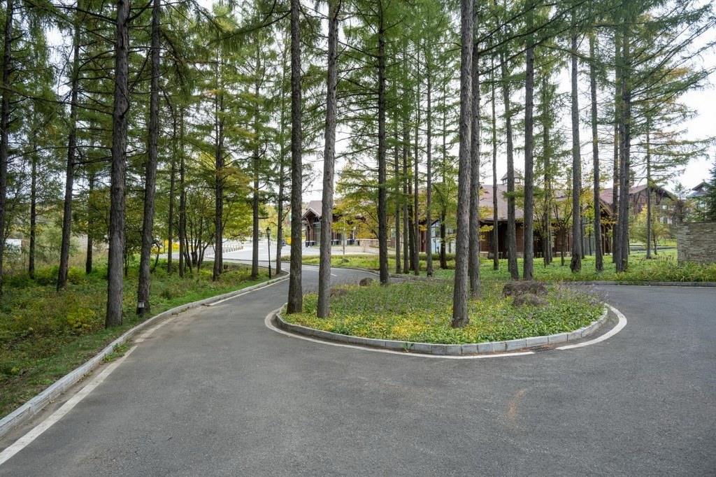 園區(qū)里“路讓樹”成為行為準(zhǔn)則。王哲攝