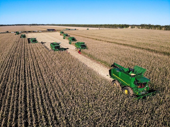 9月20日在位于黑龍江雙鴨山市友誼縣的北大荒農(nóng)業(yè)股份有限公司友誼分公司一地塊拍攝的秋收現(xiàn)場(chǎng)（無人機(jī)照片）。新華社記者 王松 攝
