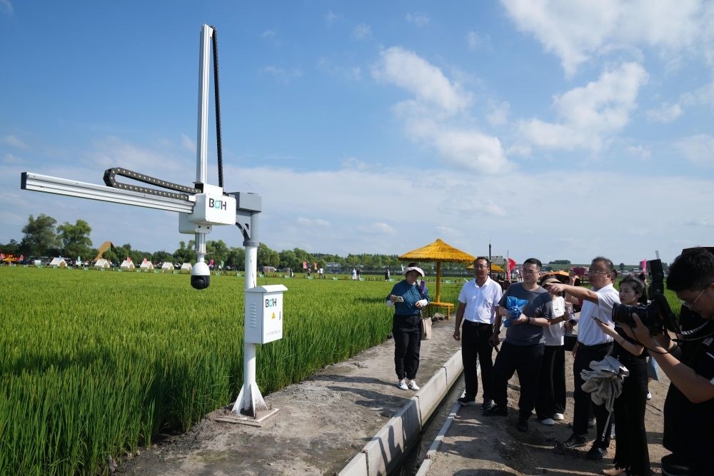 在北大荒集團閆家崗農(nóng)場有限公司農(nóng)業(yè)現(xiàn)代化示范區(qū)，工作人員在介紹利用數(shù)字技術(shù)的葉齡診斷儀（2023年8月10日攝）。新華社記者 王建威 攝