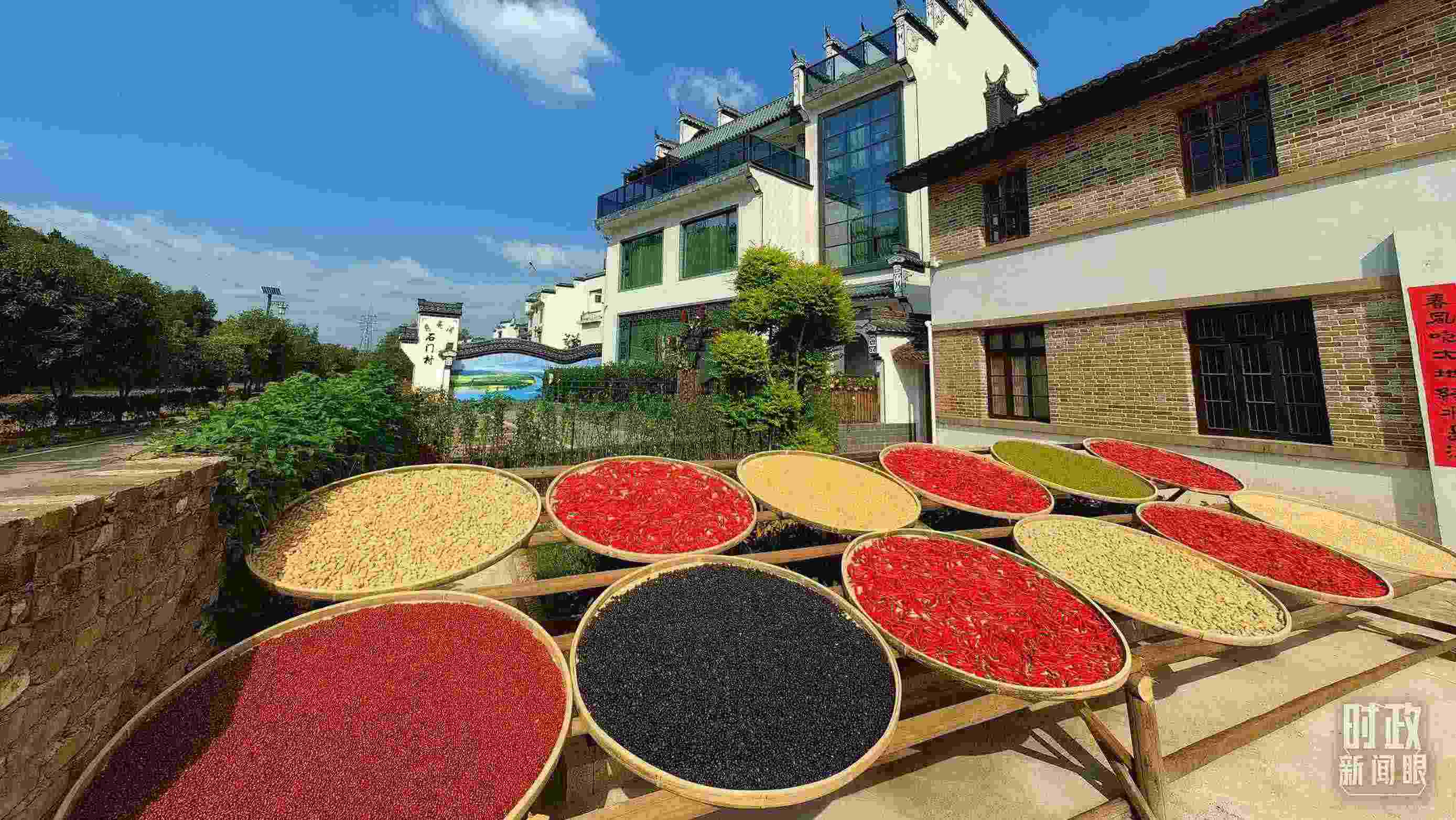 △曬秋農(nóng)俗成為婺源鄉(xiāng)村的一道美麗風(fēng)景。（總臺央視記者段德文拍攝）