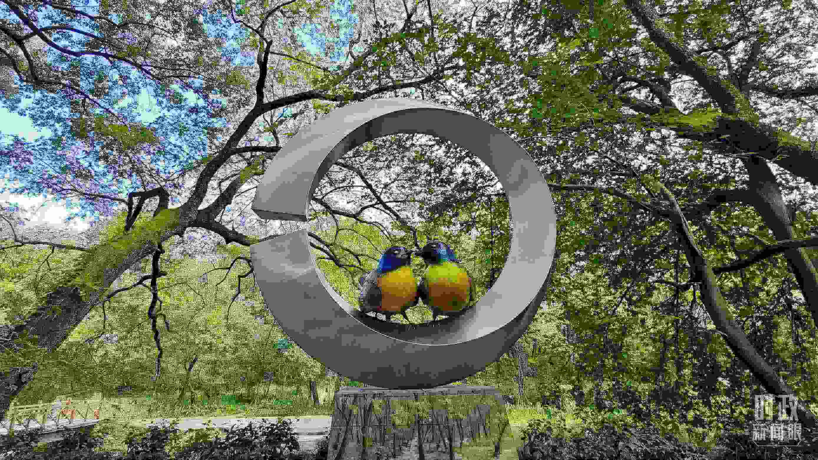 △石門村里的藍冠噪鹛雕像。（總臺央視記者許永松拍攝）