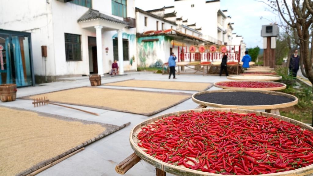 近日拍攝的江西省上饒市婺源縣秋口鎮(zhèn)王村石門自然村。新華社記者 胡晨歡 攝