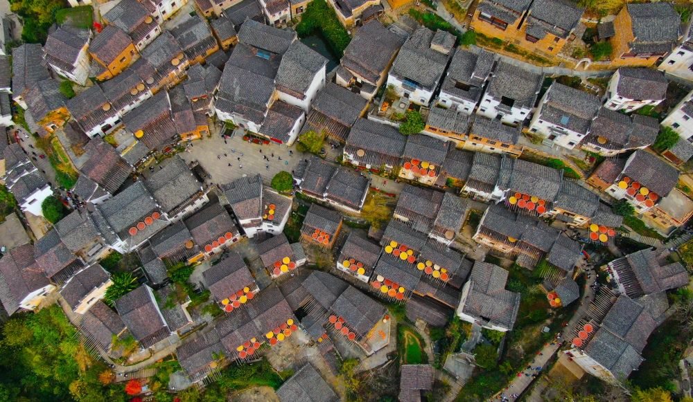 這是婺源縣江灣鎮(zhèn)篁嶺村的曬秋景象（2019年11月7日攝）。