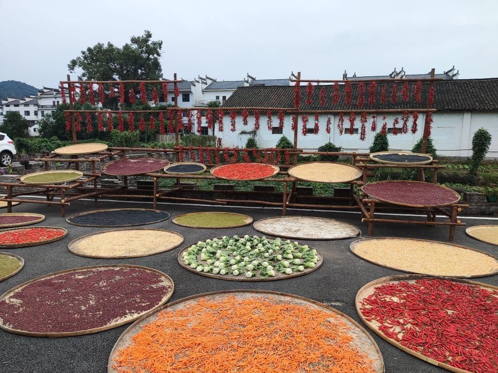 近日，江西省上饒市婺源縣秋口鎮(zhèn)王村村民晾曬的農(nóng)作物。新華社記者 劉佳敏 攝