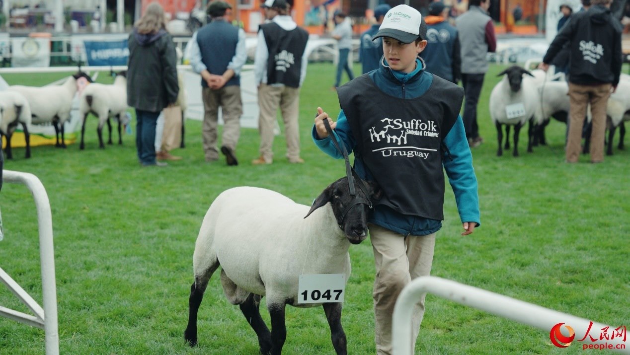 烏拉圭第118屆普拉多牧農(nóng)業(yè)國際博覽會(huì)現(xiàn)場(chǎng)。人民網(wǎng)記者 張若涵攝