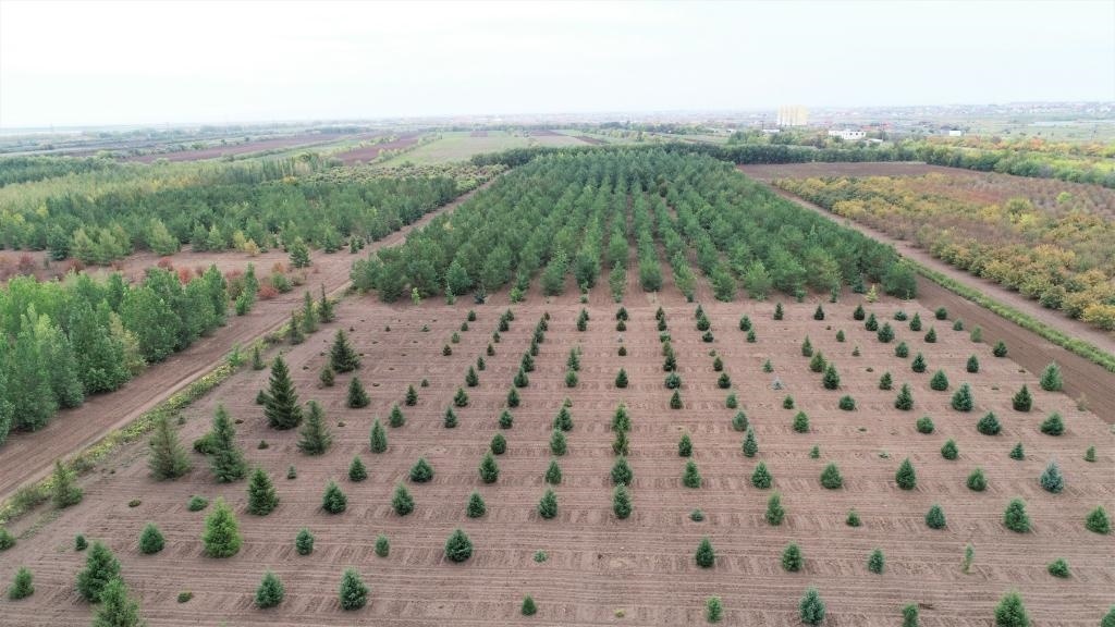 這是2023年9月11日在哈薩克斯坦首都阿斯塔納拍攝的一處植物種質(zhì)資源苗圃（無人機(jī)照片）。新華社發(fā)（法爾哈特·圖克諾夫 攝）