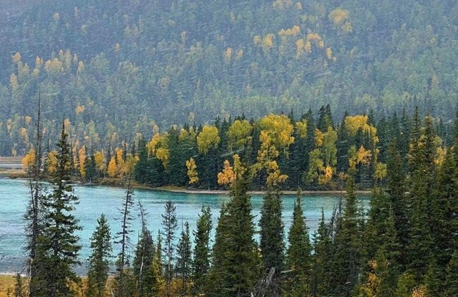 禾木景區(qū)。中國鐵路烏魯木齊局集團(tuán)有限公司供圖