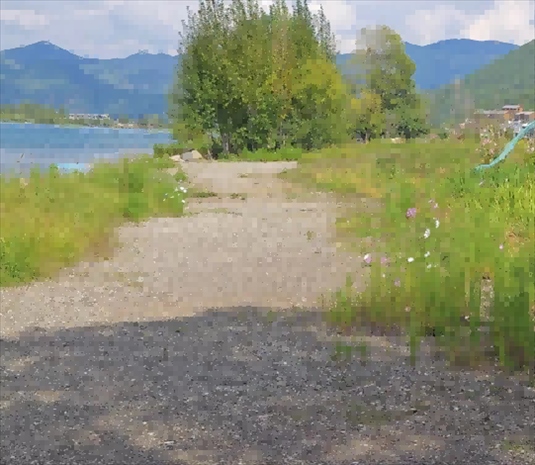 王軍所說被填區(qū)域。 人民網(wǎng)記者 黃鈺攝