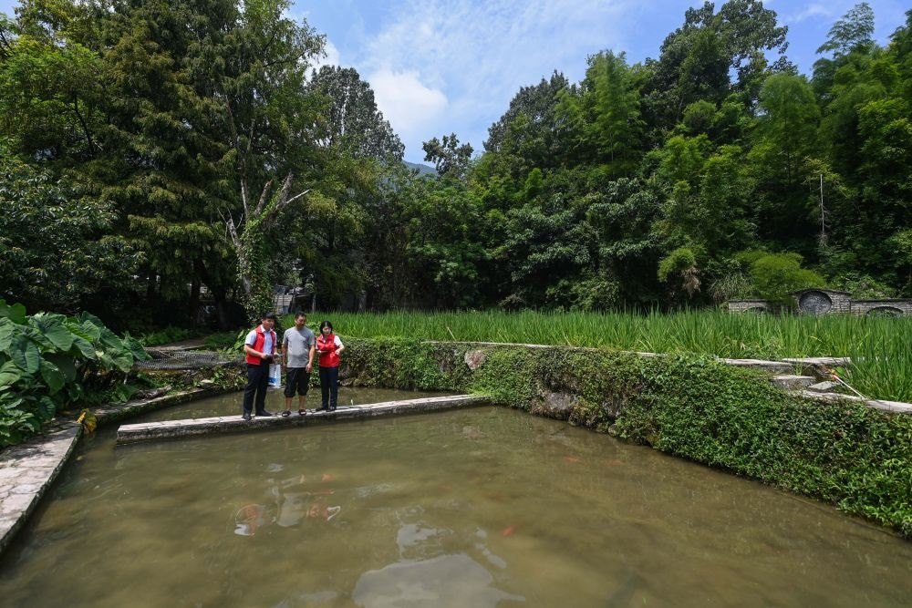 2023年8月17日，浙江省麗水市青田縣方山鄉(xiāng)田魚養(yǎng)殖戶吳勇強（中）在接受青田農(nóng)商銀行“小蜻蜓”服務(wù)隊志愿者提供的“惠民易貸”上門服務(wù)。近年來，青田縣金融發(fā)展中心聯(lián)合各個金融機構(gòu)優(yōu)化配套鄉(xiāng)村振興金融服務(wù)，推出“惠民易貸”“農(nóng)家樂貸”等金融產(chǎn)品，重點支持涉農(nóng)龍頭企業(yè)及特色種養(yǎng)殖產(chǎn)業(yè)。新華社記者 徐昱 攝