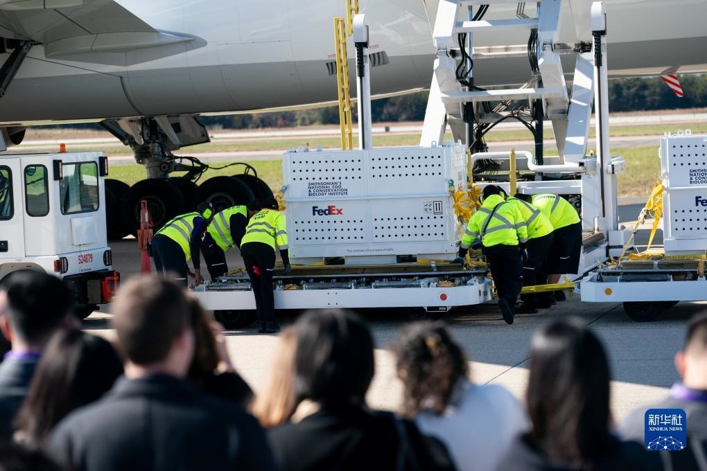 11月8日，在美國弗吉尼亞州的華盛頓杜勒斯國際機(jī)場，裝有大熊貓的特制“旅行包廂”準(zhǔn)備運(yùn)上專機(jī)。新華社記者劉杰攝