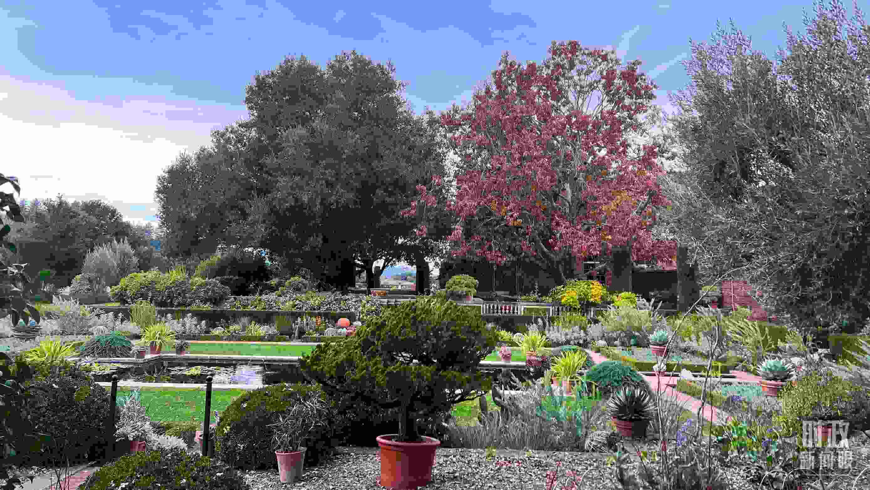 斐洛里莊園被稱作美國20世紀現(xiàn)存最精美鄉(xiāng)村莊園之一。（總臺央視記者程鋮拍攝）