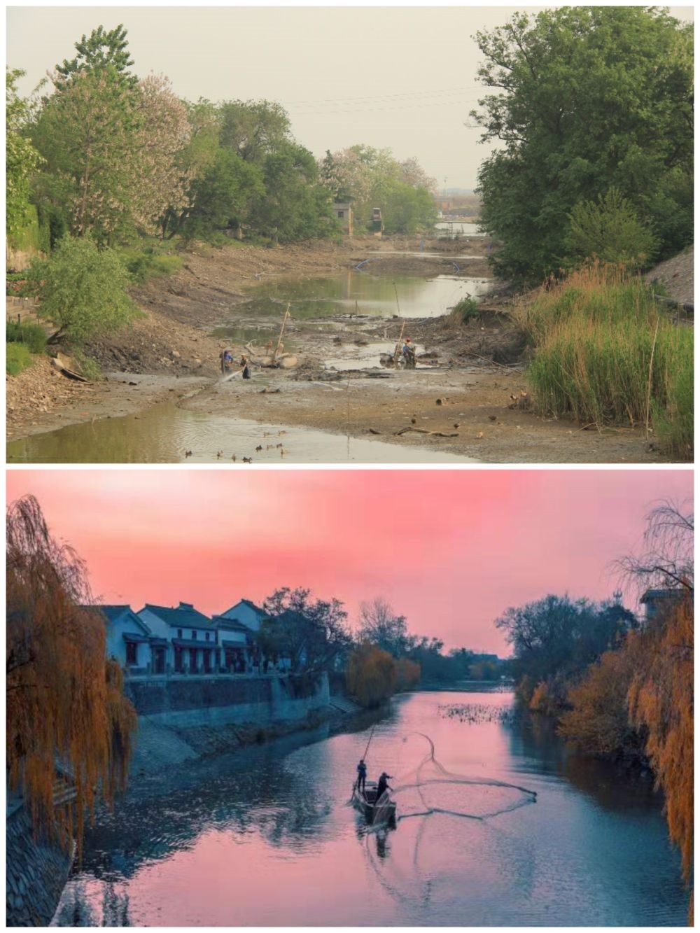 江蘇省揚州市江都區(qū)明清運河故道整治前后。（上圖：2012年；下圖：2020年）（孫友定 攝）