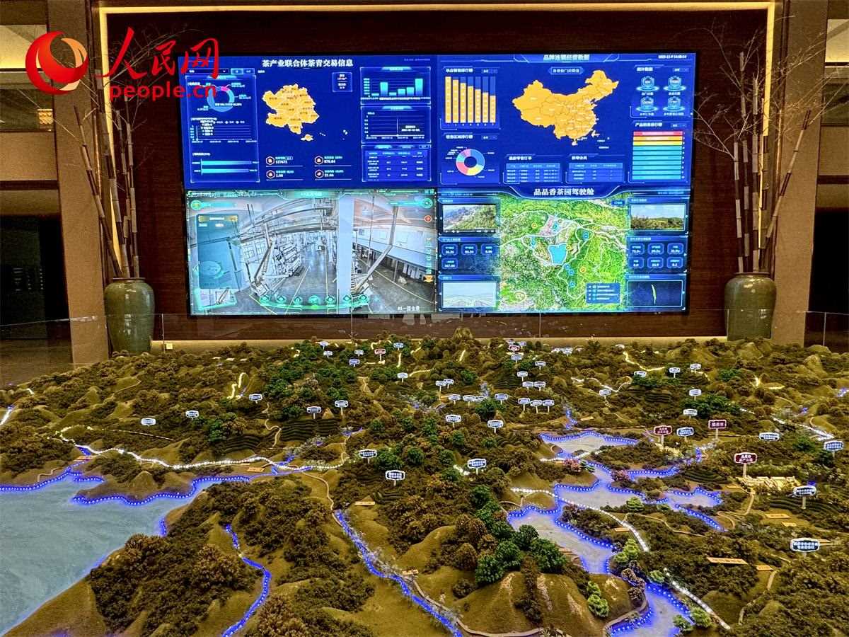 品品香白茶產(chǎn)業(yè)園信息中心數(shù)智化大屏。人民網(wǎng)記者 劉微攝