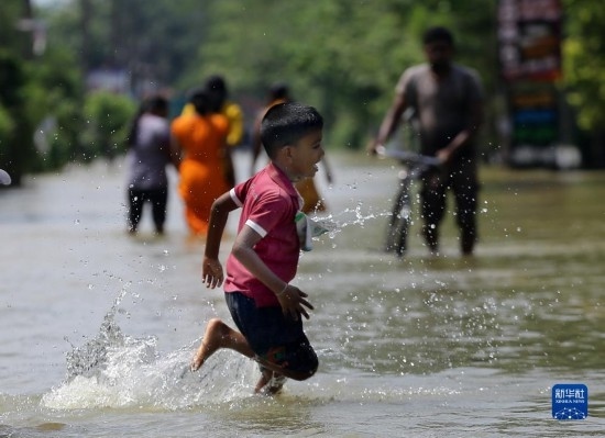 11月24日，一名男孩在斯里蘭卡加姆珀哈涉水出行。新華社發(fā)（阿吉特·佩雷拉攝）