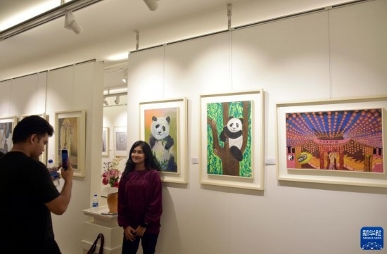 11月22日，在孟加拉國達卡，人們在“國家印象”繪畫展上參觀拍照。新華社發(fā)（薩利姆攝）