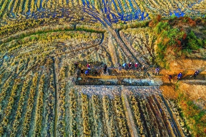 良渚遺址考古發(fā)掘現(xiàn)場。