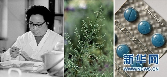 屠呦呦、青蒿和抗瘧疾成藥（拼版資料照片）