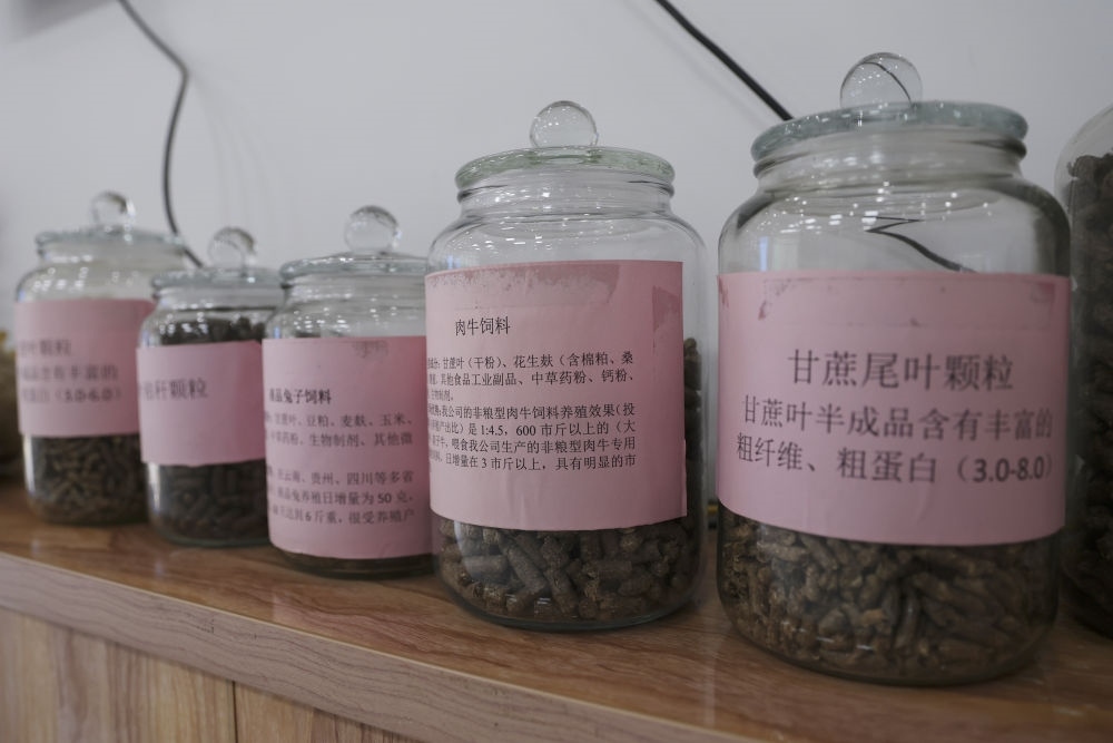 這是12月13日在來賓市興賓區(qū)小平陽鎮(zhèn)一家飼料廠拍攝的以甘蔗尾葉為原料制成的飼料。