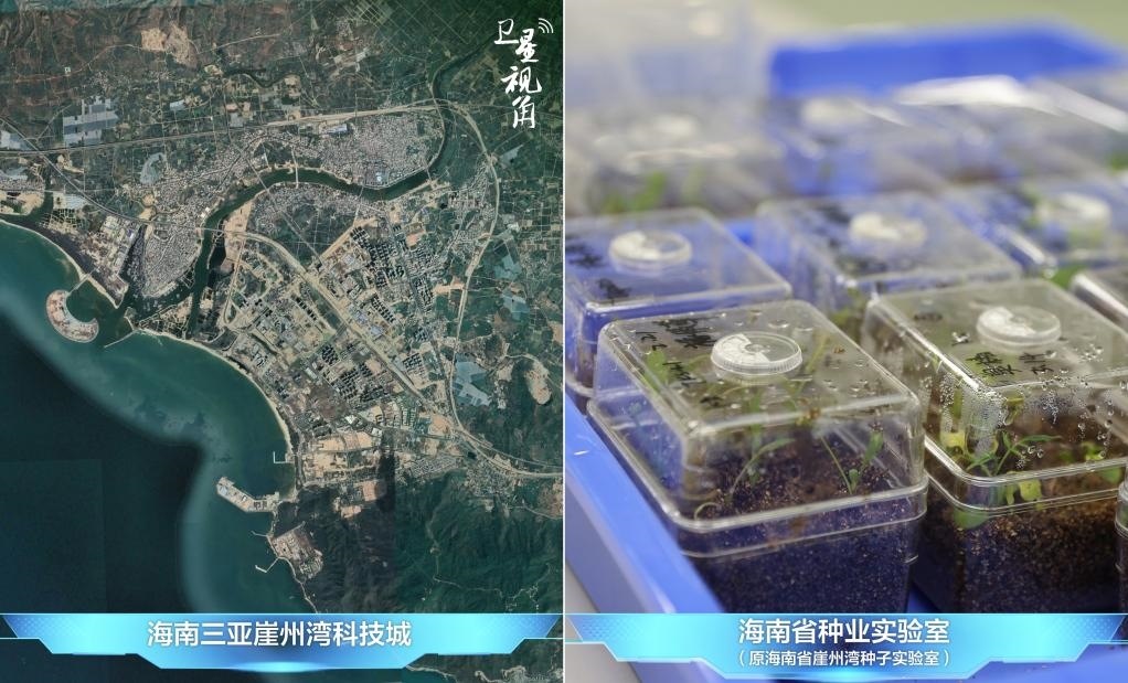位于三亞崖州灣科技城的海南省種業(yè)實(shí)驗(yàn)室（原海南省崖州灣種子實(shí)驗(yàn)室）將形成輻射全國和“一帶一路”沿線國家的種子科學(xué)技術(shù)創(chuàng)新中心。